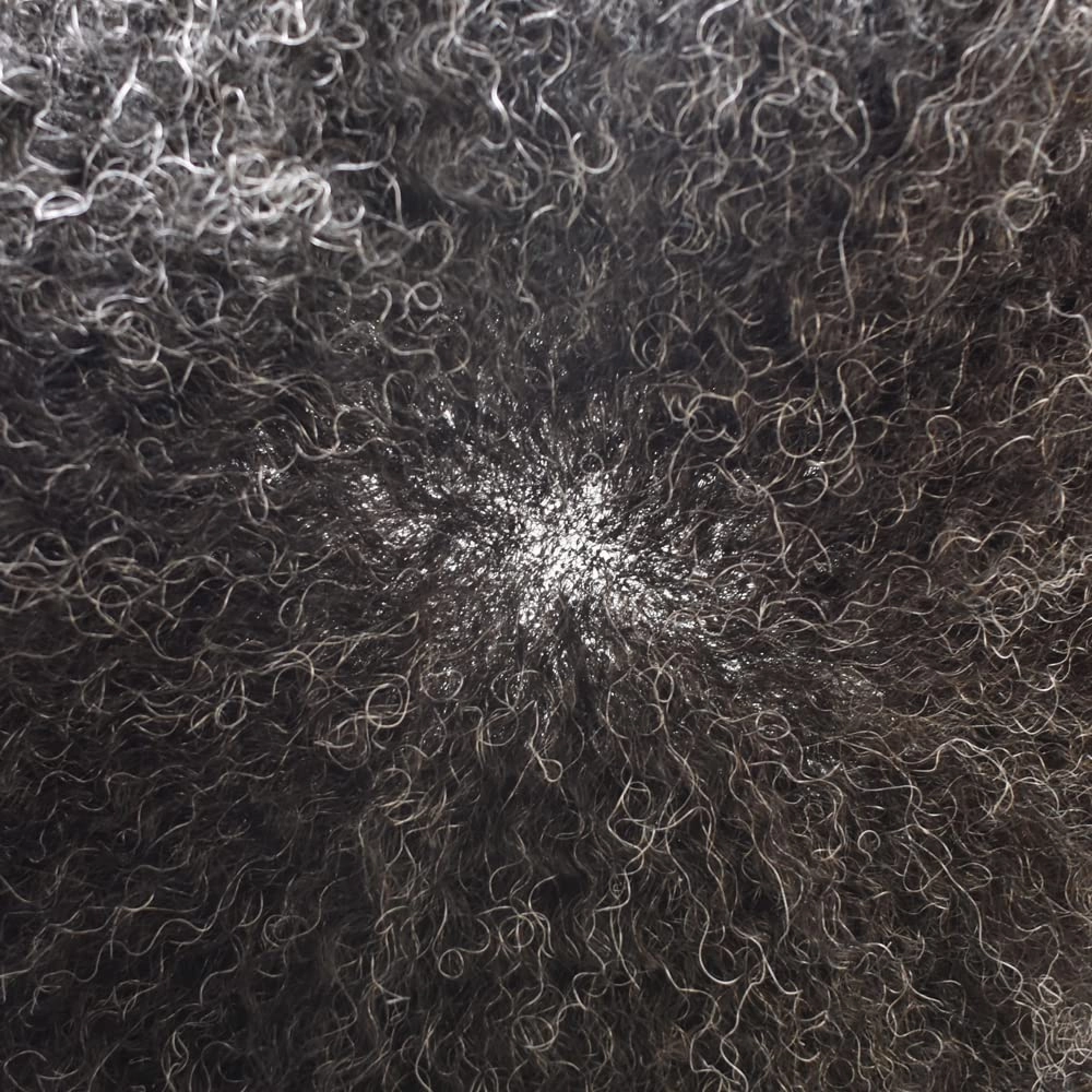 Afro Curl Toupee for Black Men Human Hair Swiss Lace Gray Hair Units for Black Men Hair System Bleached Knot Natural Hairline African American Hairpiece #140#1B JET BLACK 40% GREY 8X10-6MM Afro Wave