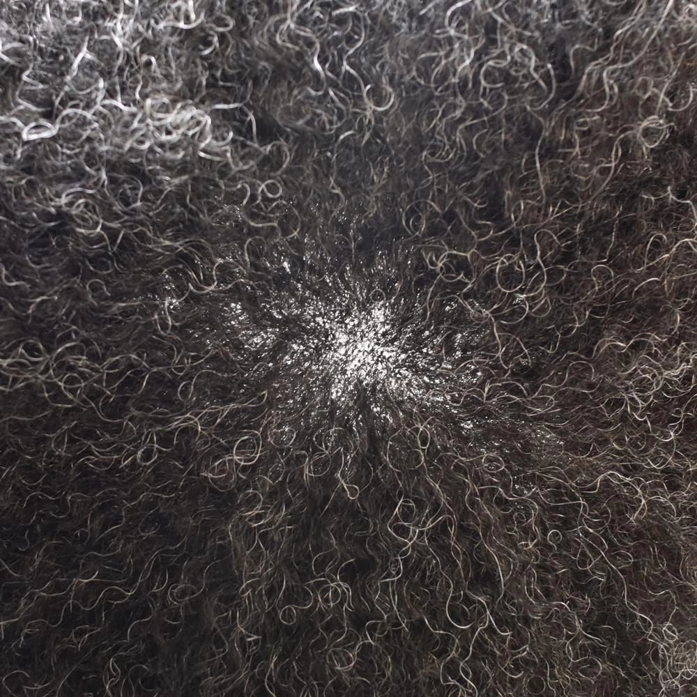 Afro Curl Toupee for Black Men Human Hair Swiss Lace Gray Hair Units for Black Men Hair System Bleached Knot Natural Hairline African American Hairpiece #1B10 Off Black 10% GREY 8X10-6MM Afro Wave