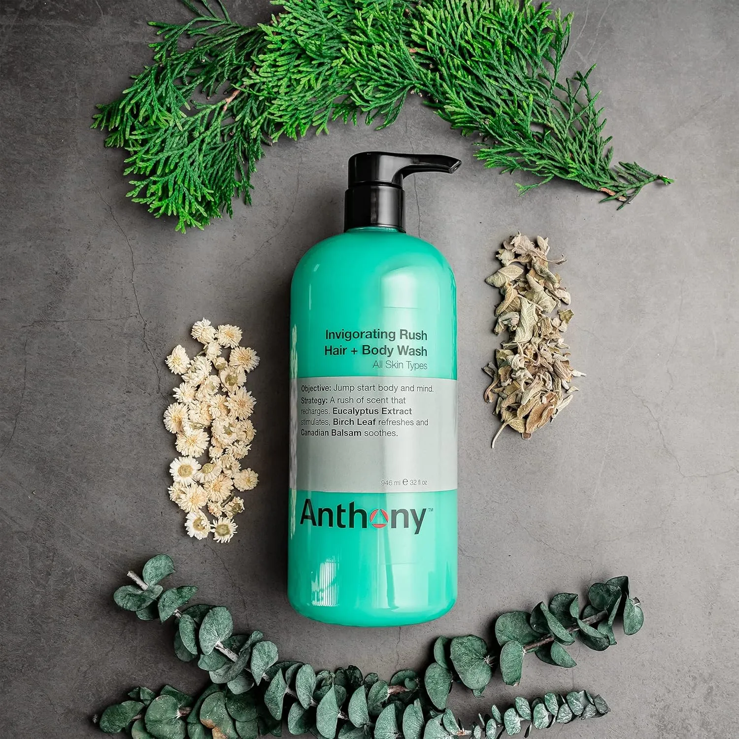 Anthony Mens Body Wash and Shampoo: Invigorating Rush 2-In-1 Liquid Gel Soap & Hair Shampoo, Pine Wood Scent, Hydrating with Eucalyptus, Canadian Balsam, Birch Leaf, Charcoal, Sea Kelp, 32 Fl. Oz