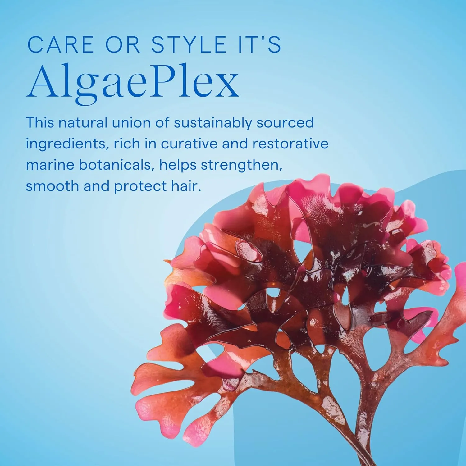 AQUAGE Color Protecting Conditioner, Deep-Penetrating Moisturizer Seals in Haircolor, Infused with Nutrient-Rich Sea Botanicals, Restores Hair and Adds Shine, 8 oz