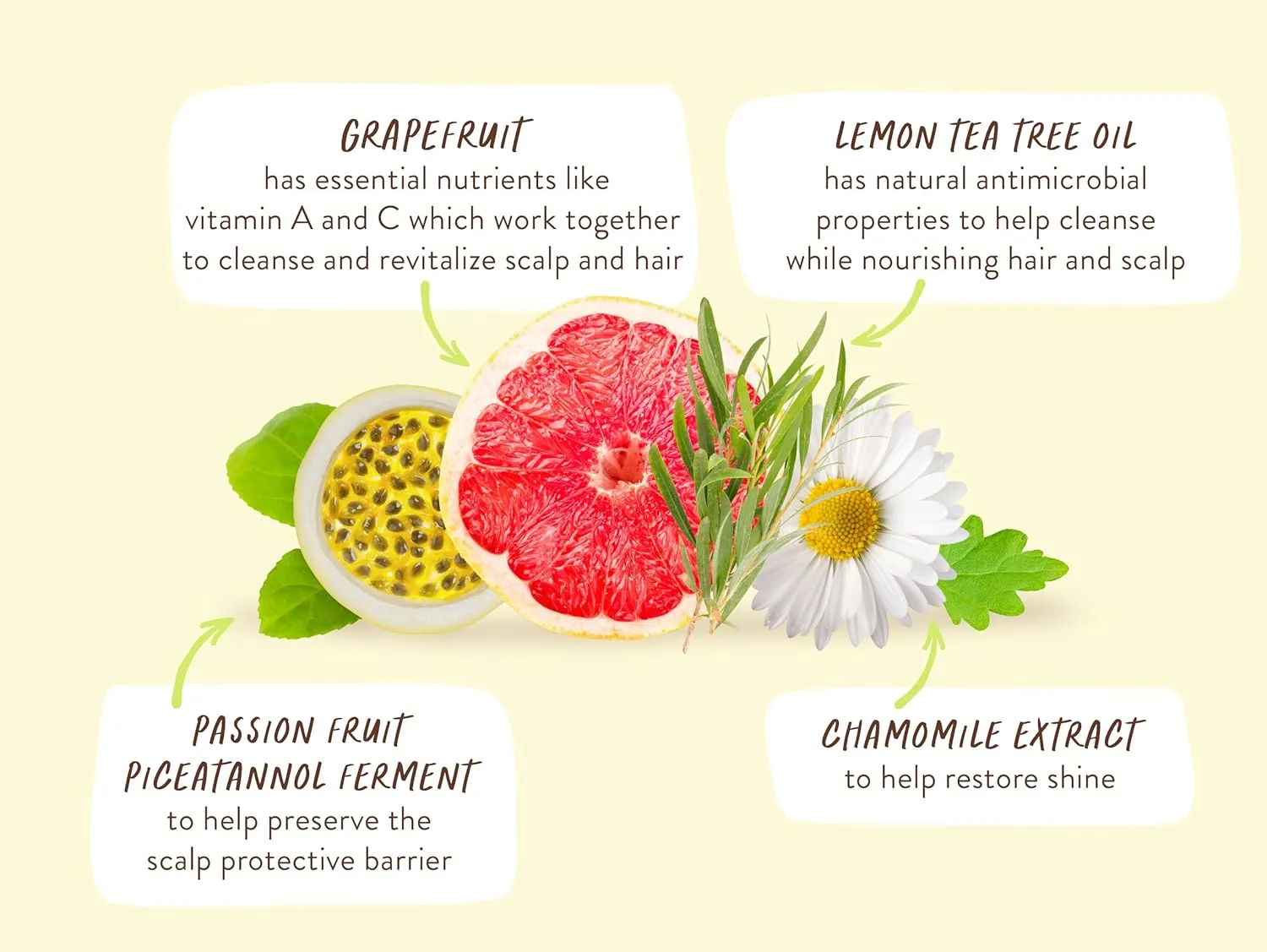 Babo Botanicals Purifying Lemon Tea Tree & Grapefruit Shampoo   Bundle with Conditioner – For Flat, Oily Prone Hair – Add body & shine - Passion Fruit Ferment for scalp