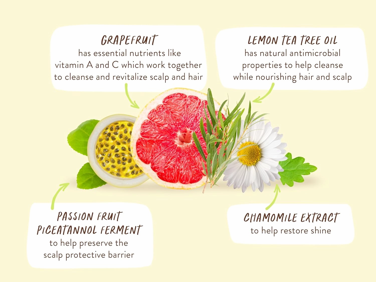 Babo Botanicals Purifying Lemon Tea Tree & Grapefruit Shampoo   Bundle with Conditioner – For Flat, Oily Prone Hair – Add body & shine - Passion Fruit Ferment for scalp