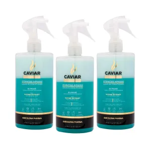 Biphasic Leave In Conditioner | Deep Conditioning and Heat Protection Spray | Moisturizing Treatment to Detangle Hair, Smooth Frizz and Add Shine (3 Pack)