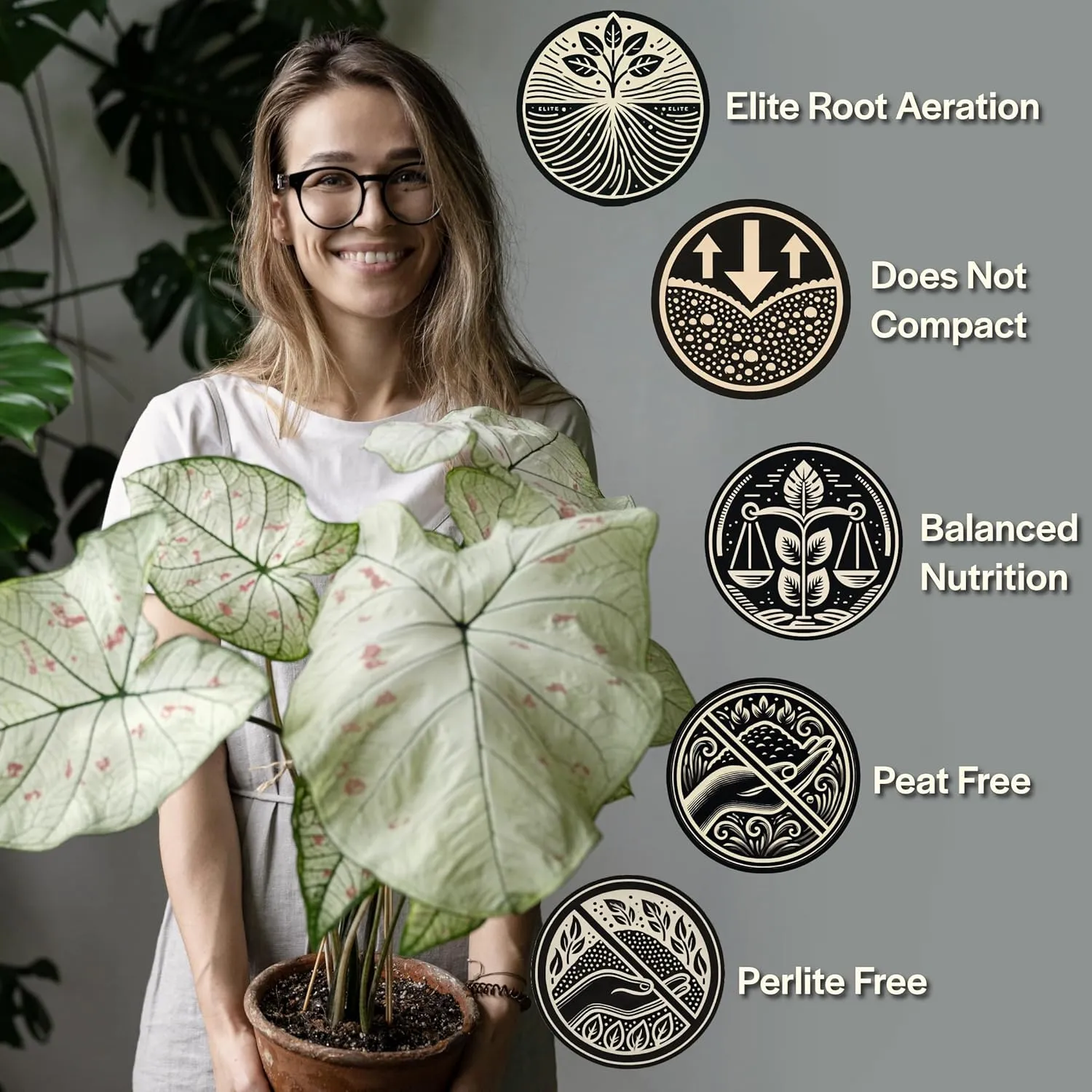 Craft Aroid Potting Mix- Elite Alocasia, Philodendron, Monstera Soil Mix, Chunky, Well Draining Potting Soil for Indoor Plants, All Tropical Plants & Houseplants, Synthetic & Peat Free 8QT