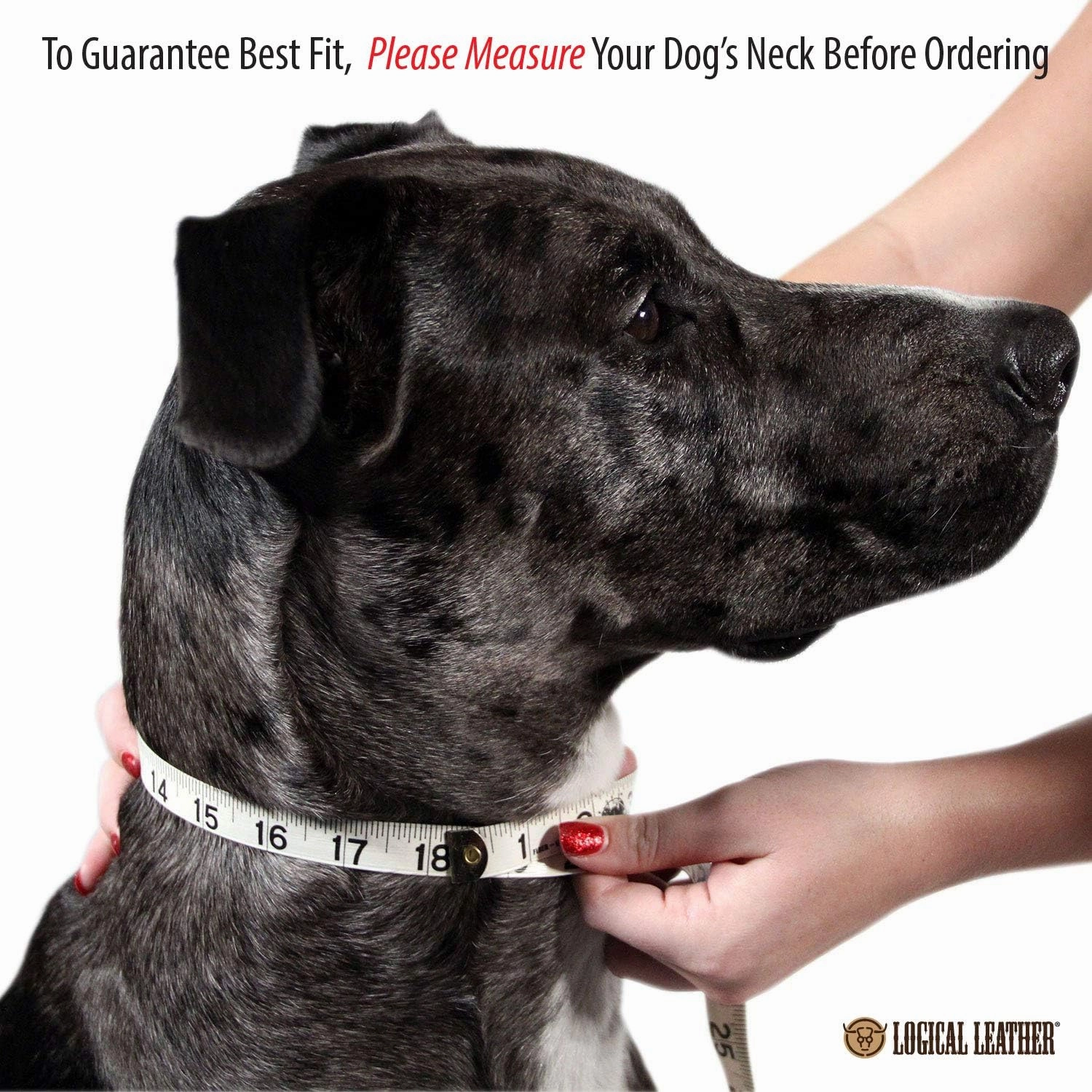 Deluxe Padded Genuine Full Grain Leather Collar (Medium, Pink)