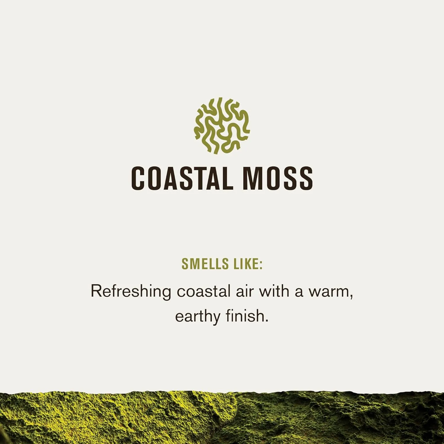 Every Man Jack Men’s Coastal Moss Bath and Body Gift Set with Clean Ingredients & Vetiver and Spicy Citrus Scent - Round Out His Routine with Body Wash, 2-in-1 Shampoo, Deodorant & Face Wash