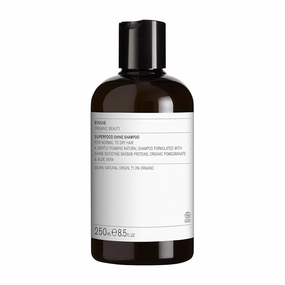 Evolve Organic Beauty - Superfood Shine Natural Conditioner | Small-Batch, Vegan Clean Beauty (8.5 oz | 250 mL) Packaging May Vary