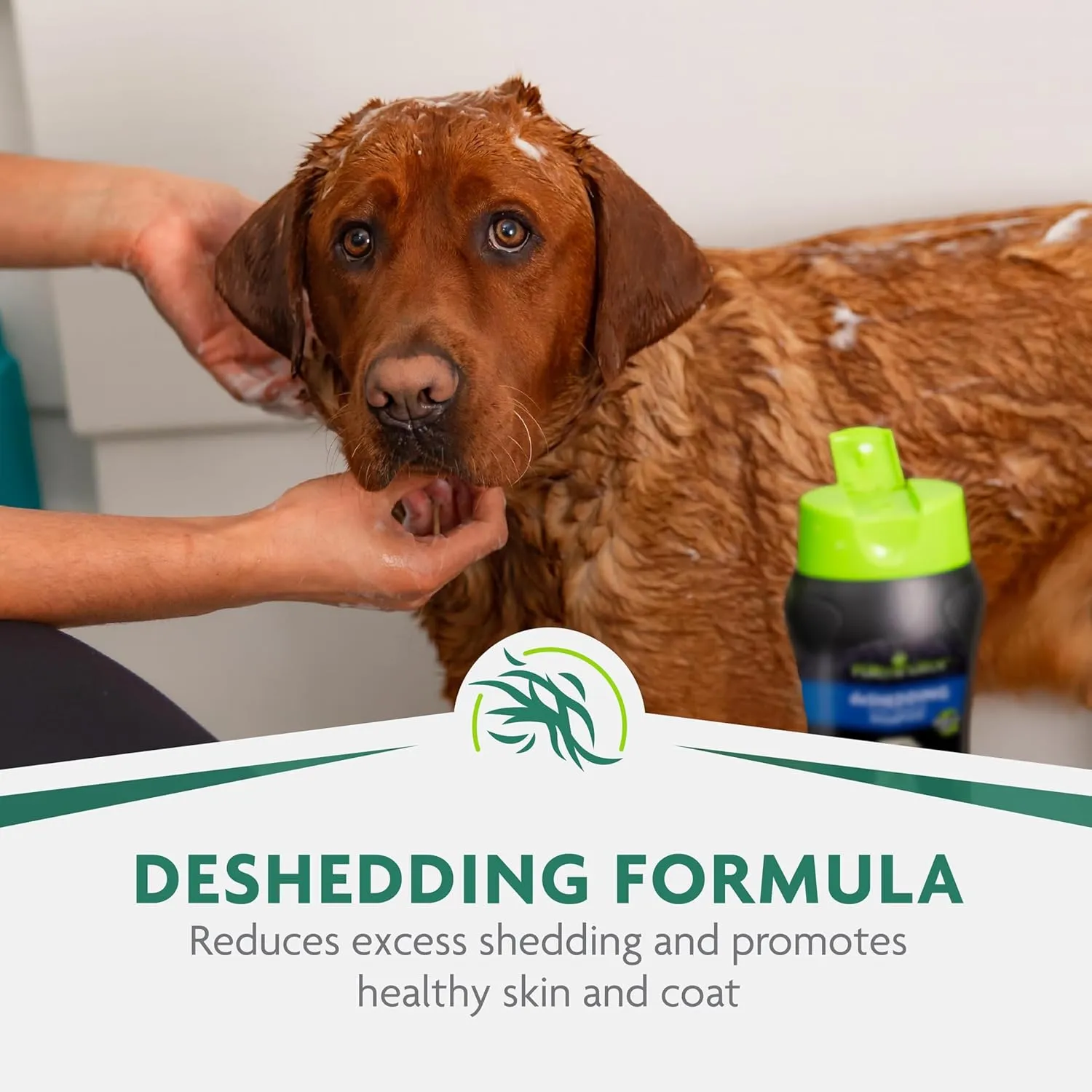 FURminator Ultra Premium deShedding Shampoo for Dogs Helps Reduce Excess Shedding, 16 oz
