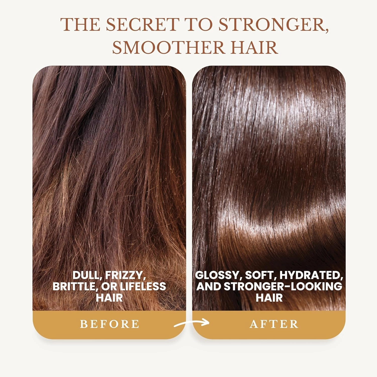 Ginger Shampoo and Conditioner Set, Fortifying Formula with Certified and Organic Ingredients Naturally Nourish, Smooth and Detangle Hair 16oz Each