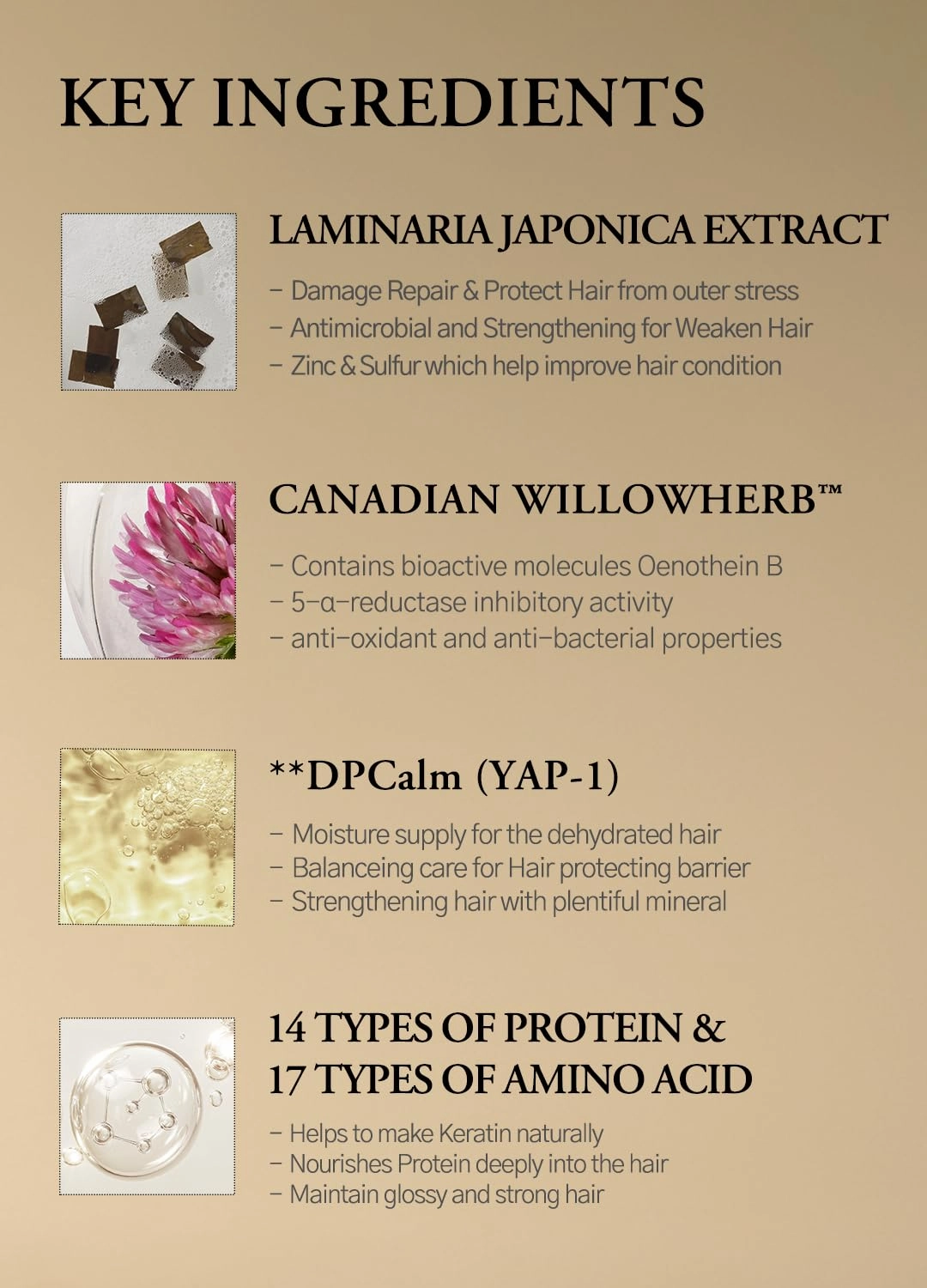 Laminaria Conditioner with Organic Ingredient, Damaged Hair Care Korean Conditioner, Hydrating & Smoothing, Anti-Frizz, Sulfate & Paraben Free, for Women & Men, 33.81 Fl Oz, White Musk