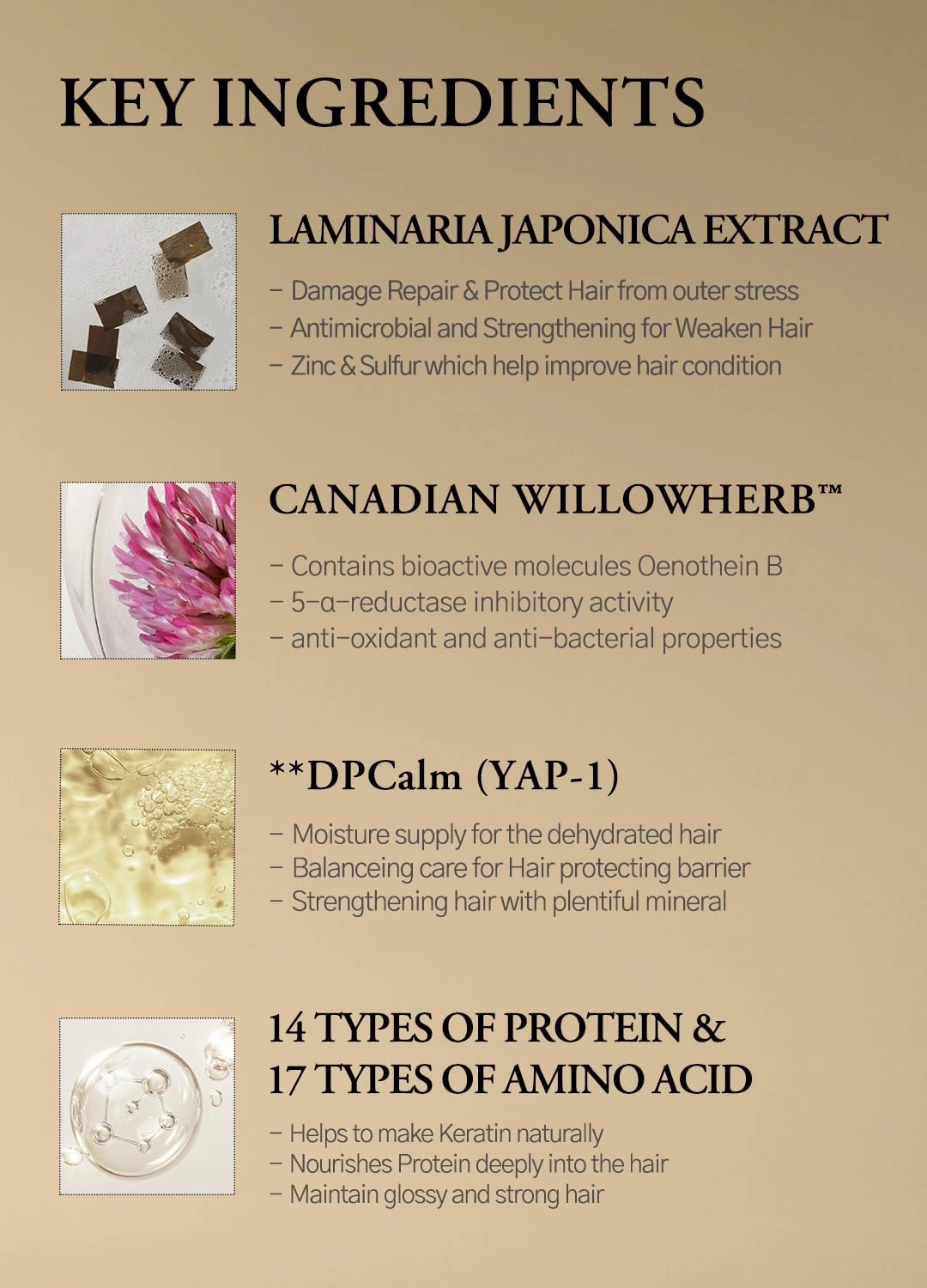 Laminaria Damaged Hair Care Conditioner with Organic ingredient, Smoothing for Anti-Frizz, Hydrating & Moisturizing, Sulfate & Paraben Free, For Women & Men, 16.9 Fl Oz b (White Musk)