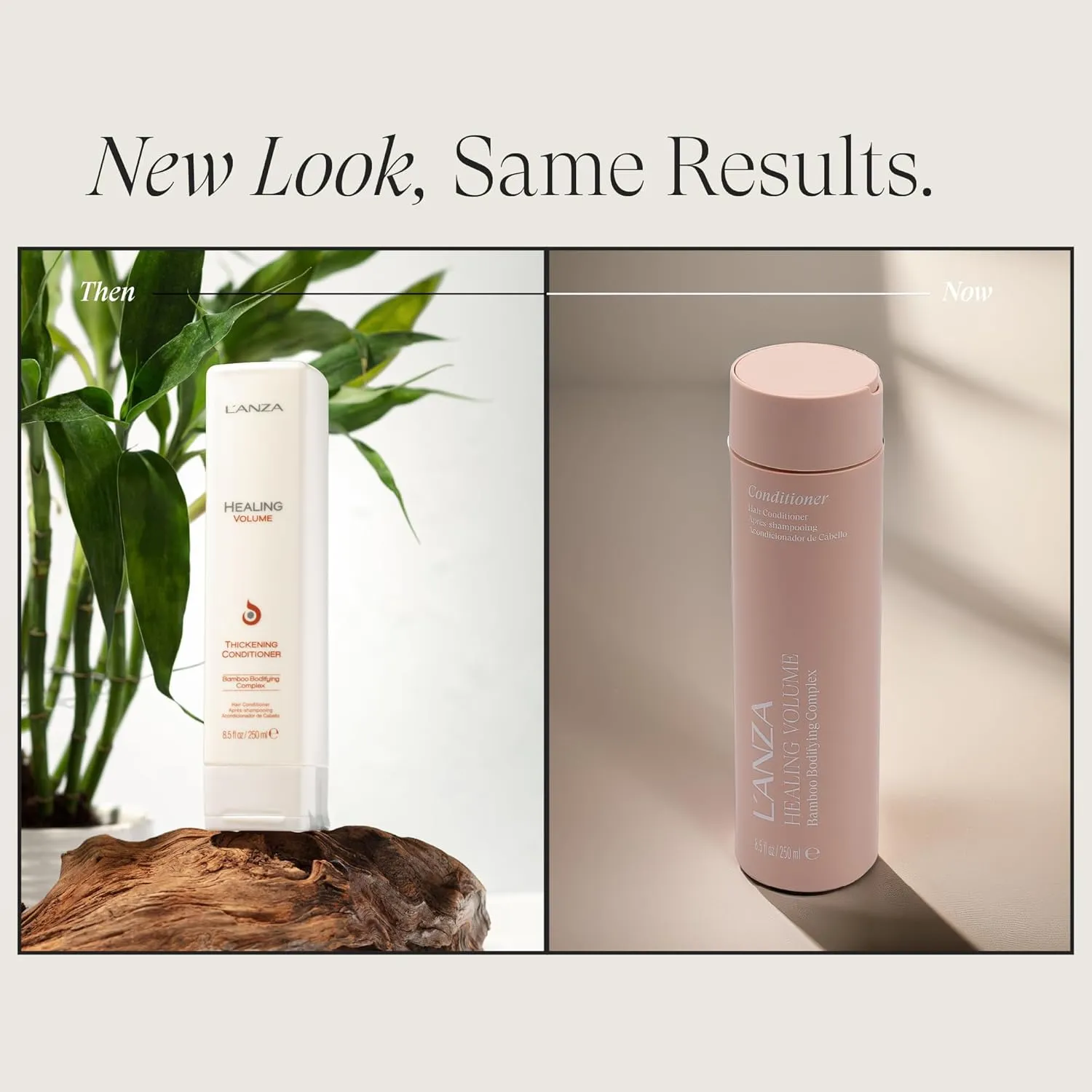 L'ANZA Healing Volume Thickening Conditioner, Boosts Shine, Volume, and Thickness of Fine Flat Hair, Rich With Bamboo and Keratin, Luxury Hair Care