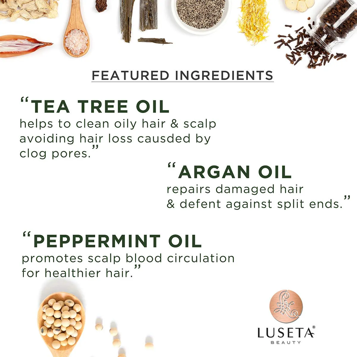 Luseta Tea Tree Oil Conditioner - Natural Anti Dandruff Treatment for Dry and Damaged Hair, Sulfate Free & Safe for Color Treated Hair 16.9oz