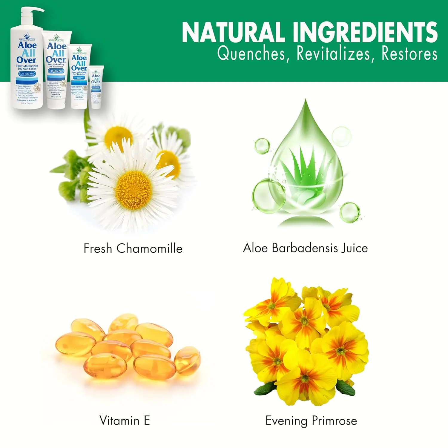 Miracle of Aloe Aloe All Over Super Moisturizing Dry Skin Lotion 32 oz - Made with 72% UltraAloe Aloe Vera Gel. Safe for Everyone: Men, Women, Kids. Restores Dry Skin Fast