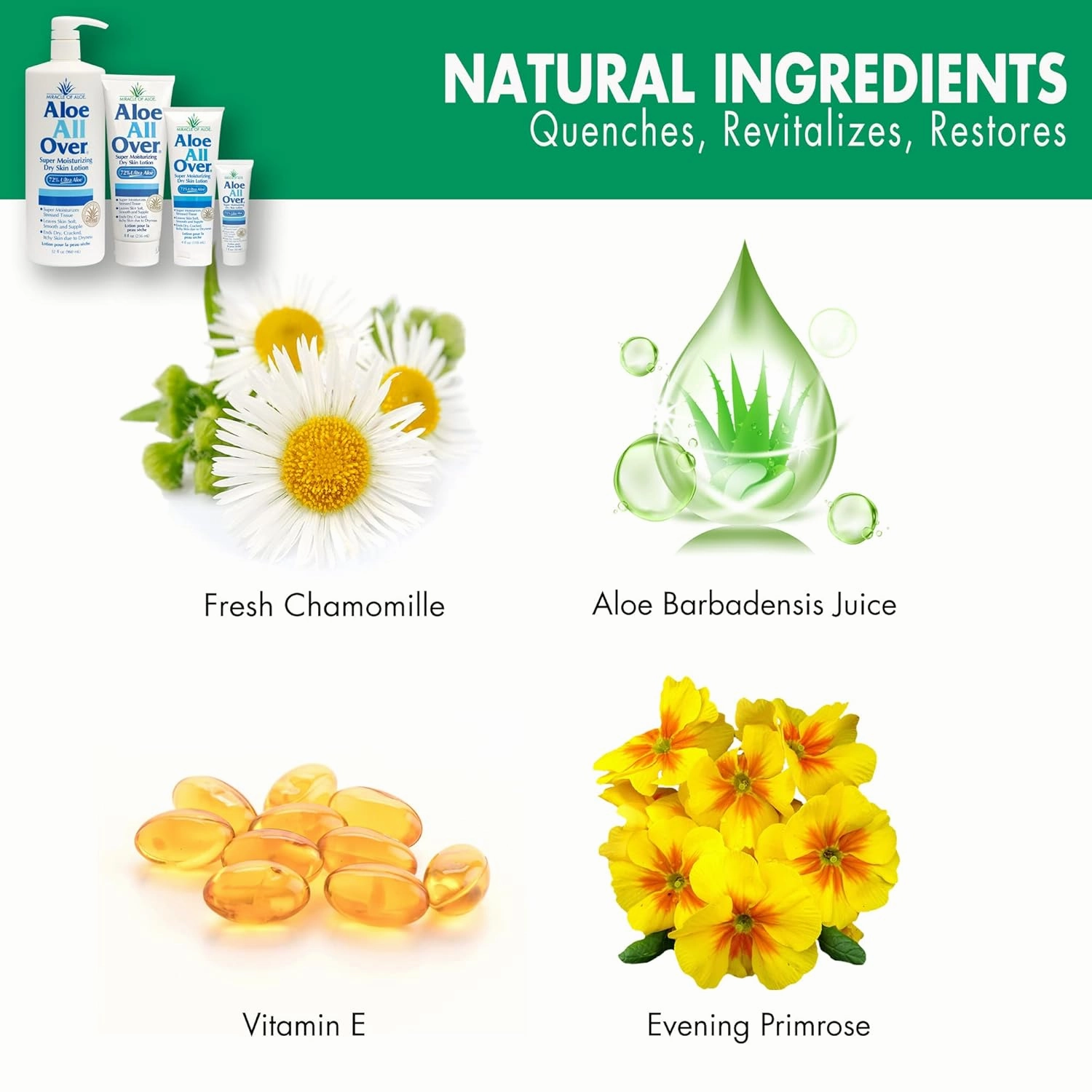 Miracle of Aloe’s Aloe All Over Super Moisturizing Dry Skin Lotion (2-Pack, 4 oz) - Made with 72% UltraAloe Aloe Vera Gel. Safe for Everyone: Men, Women, Kids. Ends Flaking and Restores Dry Skin Fast