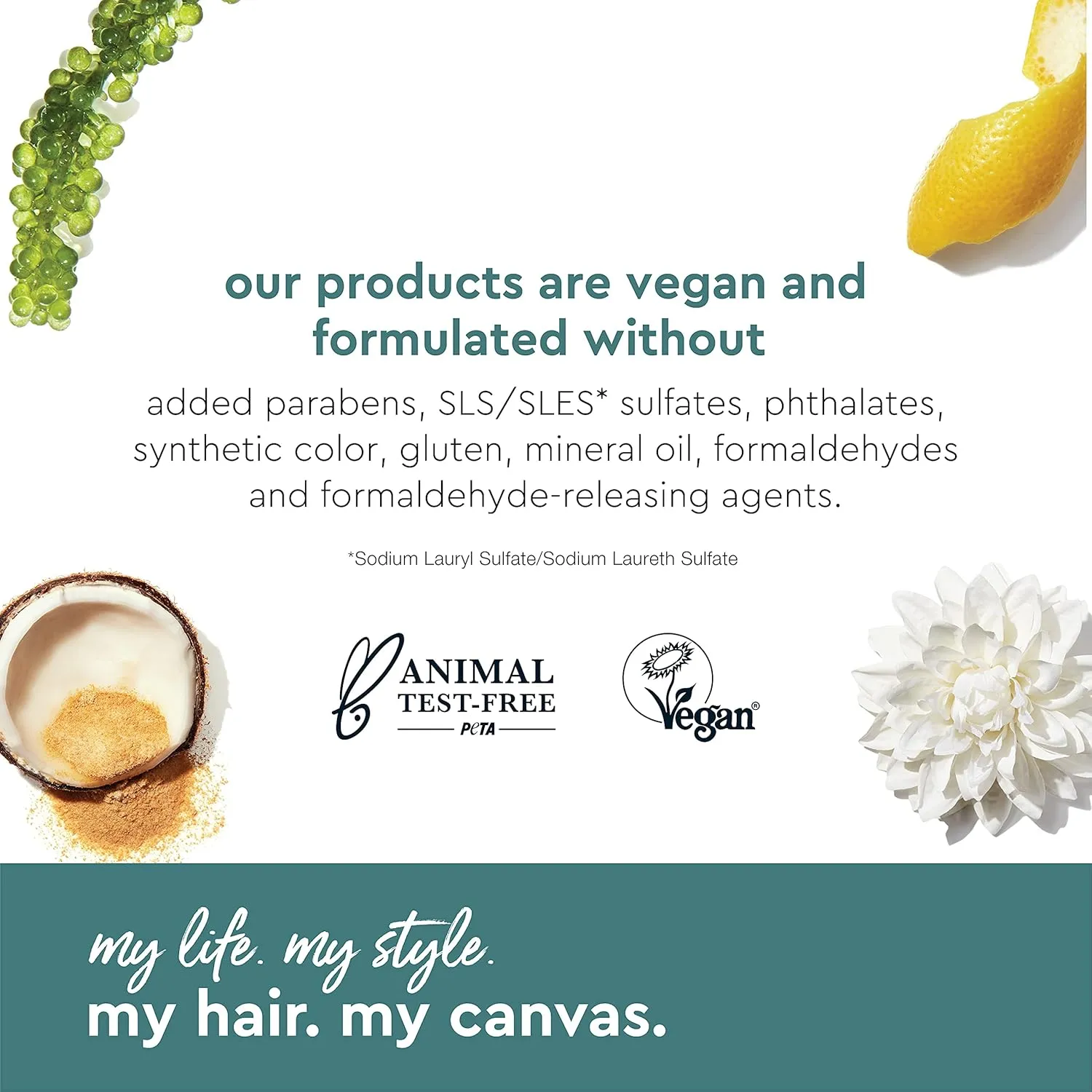 My Hair. My Canvas. Begin Again Vegan Curl Enhancing Conditioner for Curly, Wavy, and Coily Hair