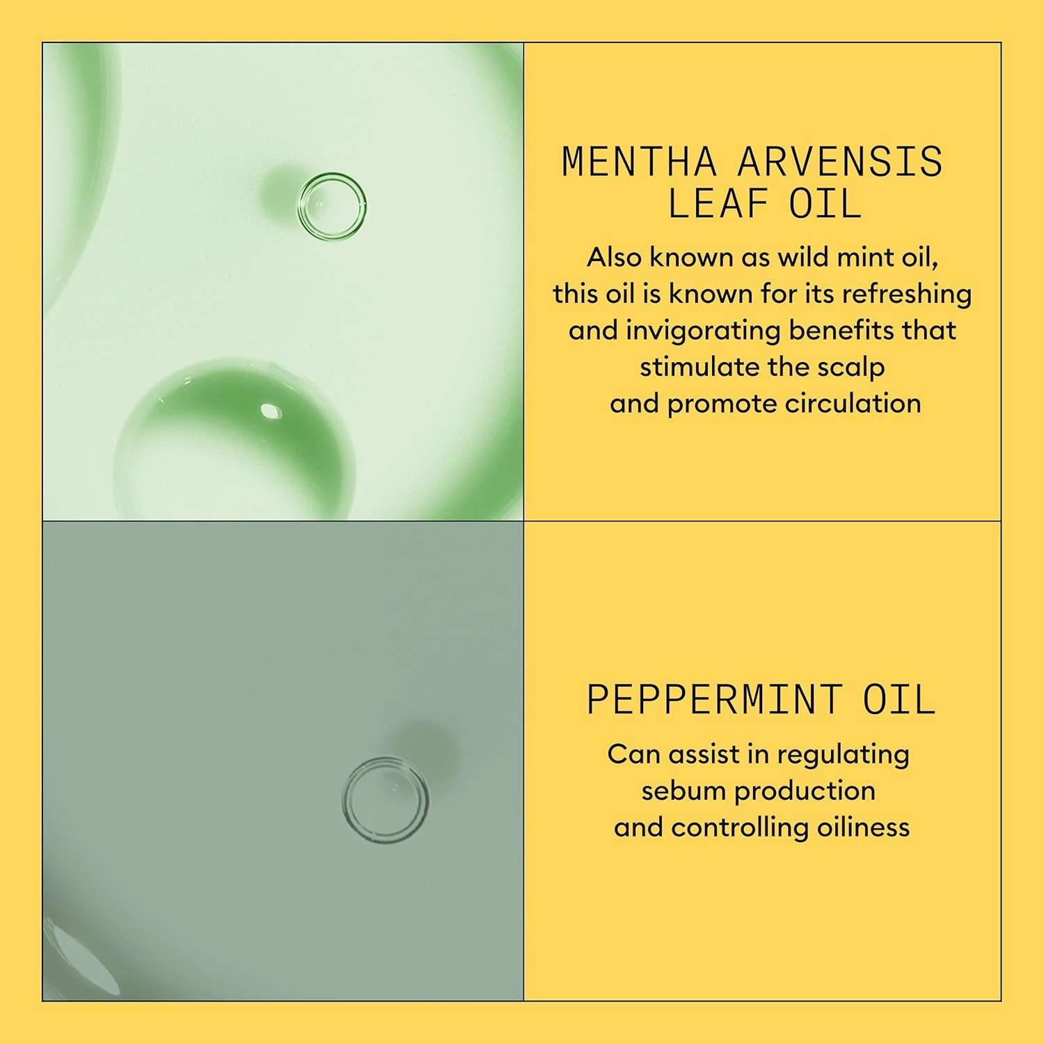Nioxin System 1 Scalp   Hair Thickening Conditioner for Natural Hair with Light Thinning | Strengthen Against Breakage with Niacinamide & Biotin | Refreshed Scalp with Healthy Shine