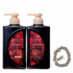 Premium EX Set - Intesive Repair Shampoo and Conditioner- 400ml each with 1 Random Hair Tie