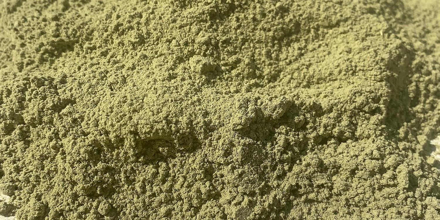 Qasil Powder Natural Leaf Powder, exfoliates, detoxifies, Helps with clogged pores and Blemishes. soap,Used as a Shampoo. (Medium 3 oz)