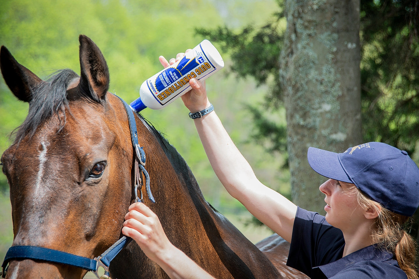 Quic Conditioner: Moisturizing Equine Conditioner - 3.4oz. / 32oz.