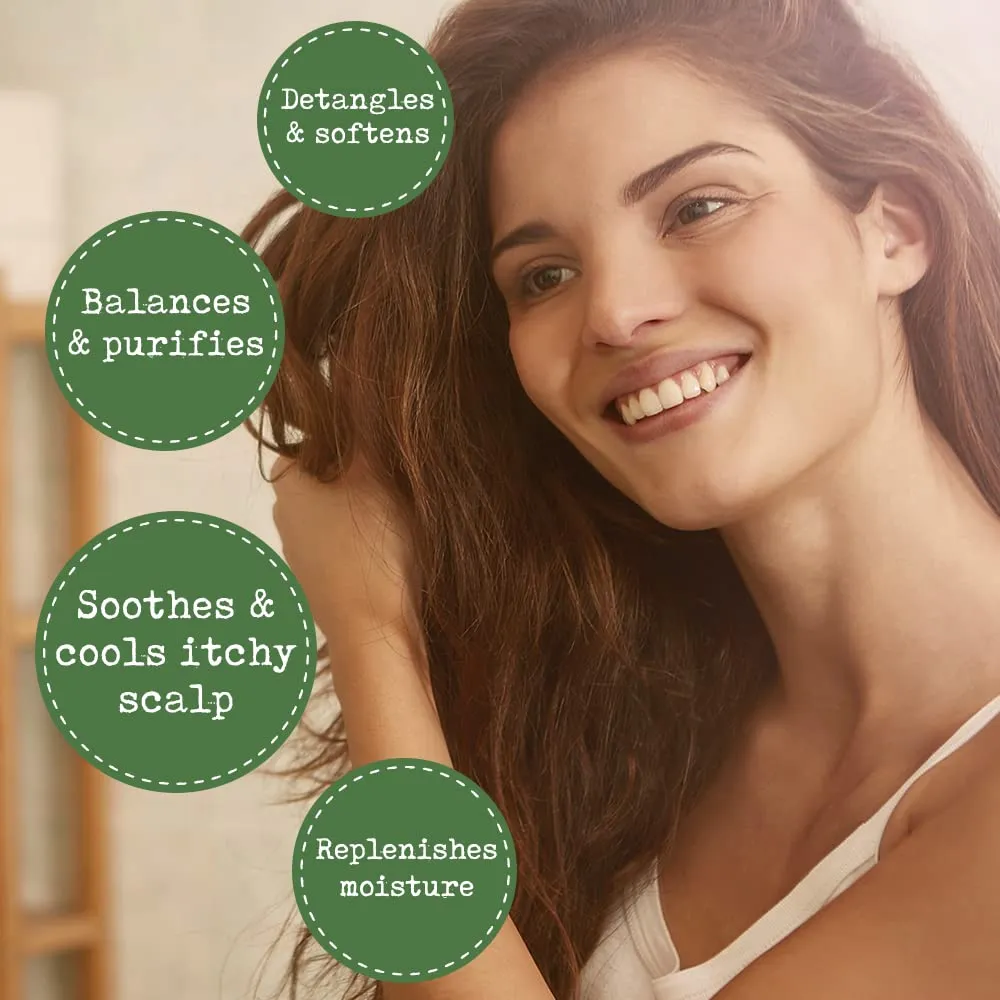 Scalp Relief Tea Tree Leave-In Conditioner, Relieve Itchy, Dry Scalp, Detangles Hair, 240ml/8 fl oz, 2-Pack