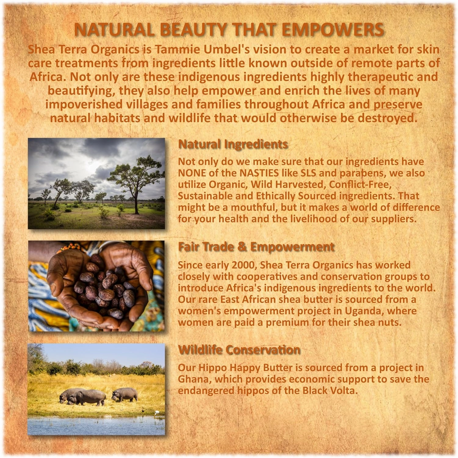 Shea Terra Organics Shea Nilotik’ Oil Scented With Dakara Frankincense |Natural Daily Skin Moisturizer & Conditioner - 8 oz