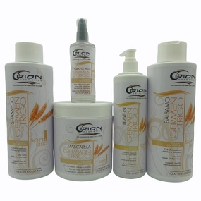 Wheat Germ Line 5 Step Kit - Shampoo - Mask - Drop of glitter - Leave-In - Conditioner hydrates - nourishes - strengthens - tones - softens - shines - detangles - texturizes